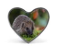 Hedgehog Exploring The Grass Heart Badge Pin Metal Reel Pins Memorial Brooch Button Lapel Pins for Backpack Wedding