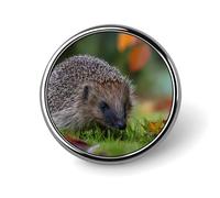 Hedgehog Exploring The Grass Round Badge Pin Metal Memorial Brooch Button Lapel Pins for Backpack Wedding