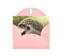 hedgehog Greeting Cards Blank Note Cards with Envelopes Happy Birthday Card Thank You Card Wedding Party Invitation Cards for All Occasions 4x6 Inch