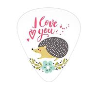 Hedgehog Guitar Picks 12 Pack Universal ABS Guitar Picks,Ink Splatter Spotted I Love You Quote and Floral Wreath with Forget-Me-Not Flower,for Acoustic and Electric Guitar