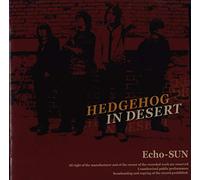HEDGEHOG IN DESERT
