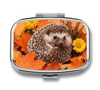 Hedgehog in Orange Leaves Pill Box - 2 Compartment Travel Pill Organizer with Small Mirror, Portable Pillcase for Pocket & Purse, Cute Square Medicine Case, Weekly Medicine Container