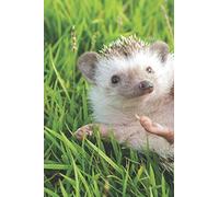 Hedgehog Journal: Lined Notebook: Journal or Diary. 6 x 9 inches (15.24 x 22.86 cm) Journal Diary. 150 pages