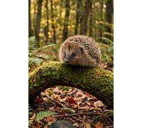 Hedgehog on Mossy Log Peaceful Forest Scene Journal: a DOT GRID notebook for self-expression