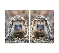 Hedgehog Passport Holder Personalized Passport Wallet for Women Men Travel Document Organizer Holder