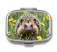 Hedgehog Pill Box 2 Compartment Pill Organizer Travel Pillcase with Mirror Square Metal Pill Container Weekly Medicine Planner Vitamin Organizer for Pocket