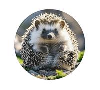 Hedgehog Sitting On Top Button Pins 1 Pc, 2.4 Inch Round Button Badges Metal Personalized Picture Photo Pin Buttons Kit For Craft Supplies Christmas Diy Party Projects, 1 PC, One Size
