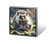 Hedgehog Sitting on Top Lapel Pin Cute Metal Brooch Pin Fashionable Square Badge for Shirts, Hats, Jackets Unique Fashion Accessories Gift for Men & Women