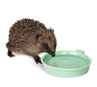 Hedgehog Water Bowl - Jacobi Jayne® Hedgehog Water Dish - Weather Resistant, Frost-proof Hedgehog Water Dish -Perfect to Offer Alongside Hedgehog Food