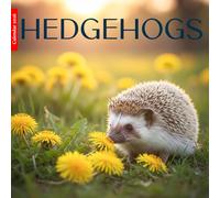 Hedgehogs 2026 Calendar: Adorable Hedgehogs in Cute Photography - A Year of Small Pet Charm and Woodland Beauty