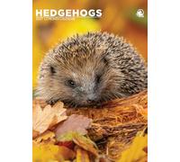 Hedgehogs - A3 Calendar 2027