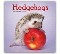 Hedgehogs - Igel 2025 - Wand-Kalender: Original Carousel-Kalender [Mehrsprachig] [Kalender]