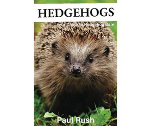 Hedgehogs: Your Guide to Hedgehog Care
