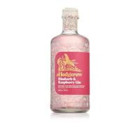 Hedgerow Rhubarb & Raspberry Gin 70cl - Fresh, Tart Fruit with Clear Juniper Notes and a Dry Finish - Fruity Flavoured Gin - Crafted in North Yorkshire with Foraged Botanicals - 40% ABV