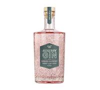 Sloemotion Hedgerow Gin - Rhubarb & Raspberry Flavoured Gin