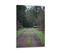 Hedlektio Forest Exploring Germany Poster Landscapes Canvas Art Painting Office Home Wall Decor Gifts 08x12inch(20x30cm)