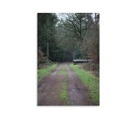 Hedlektio Forest Exploring Germany Poster Landscapes Canvas Art Painting Office Home Wall Decor Gifts 24x36inch(60x90cm)