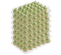 Hedume 7 Pack Cupcake Containers, 24 Counts Stackable Plastic Cupcake Boxes with Detachable Lid Perfect for Cupcakes, Muffin, BPA-free