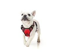 HEELE Dog Harness for Small Dogs No Pull Dog Vest Harness for Small Dog with Soft Handle Reflective for Outdoor Training, Red, S