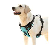 HEELE Dog Harness Large No Pull for Large Dog with Handle Reflective Breathable Mesh, Turquoise, L