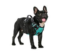 HEELE Dog Harness, No Pull Dog Harness Small, Release on Neck, Front Back Clips Dog Vest Harness Reflective Adjustable Padded, Easy Control Handle for Outdoor Walking Training, Turquoise, S