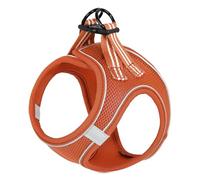 HEELE Dog Harness Small Dog Puppies Step-in Soft Mesh Anti-Escape, Reflective Loop Harness Lightweight Comfortable for Training Walking Running, Orange, 2XS