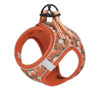 HEELE Dog Harness Small Dog Puppies Step-in Soft Mesh Anti-Escape, Reflective Loop Harness Lightweight Comfortable for Training Walking Running, Orange Flower, S