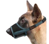 HEELE Dog Muzzle Breathable Mesh and Durable Nylon Dog Muzzle with Adjustable Loop and Soft Pad Dog Training Muzzle Prevent for Barking Biting Chewing (Green, L)