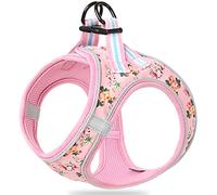HEELE Small Dog Puppy Step-in Soft Mesh Harness - Reflective, Breathable, Visible in Dark - Floral Pattern, Comfortable for Walking & Training, Pink Flower, Medium