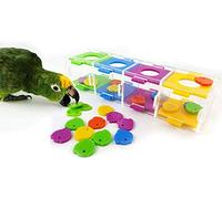 HEEPDD Bird Intelligence Training Toy, Interactive Puzzle Toy with Color Separation Coin Box for Parrot Hamster Hamster Macaw African Grey