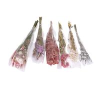 HEEPDD Pet Bedding Dried Flowers, Rustic Aesthetic Small Animal Cage Decor for Hamsters Gerbils Degus, Soft Floral Bedding and Landscaping Supplies for Cozy Pet Environment Daily