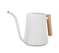 HEEPDD Watering Can with Long Spout Wooden Handle 1L Decorative Watering Pot for House Plants Flowers Succulents Bonsai Garden Tool Home Use Stainless Steel Indoor Can (Matte White)