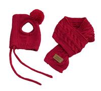 HEEPDD Winter Pet Hat and Scarf Set, Soft Knitted Dog Clothes with Plush Ball, Woven Design, for Small Medium Dogs Under 8kg 16kg, Christmas New Year Party (Red #07)