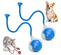 Hehimin 2026 New Interactive Dog Cat Toys Balls with Birdsong, 360° Smart Automatic Rolling Electric Dog Ball Toy, Fast Moving Balls Toys for Pets (2Pcs)