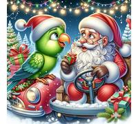HEIBAGO 5D Christmas Santa Diamond Painting Kits for Audlts, DIY Parrot Diamond Art Painting for Beginners, Full Drill Diamond Dots Kits Animals Embroidery Crystal Crafts for Home Decor 30x30cm