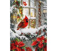 HEIBAGO 5D DIY Christmas Cardinal Diamond Art for Audlts, Full Drill Animal Diamond Painting for Beginners Rhinestone Embroidery Diamond Dots Set Bird Gem Art Crafts for Home Decor 30x40cm