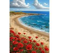 HEIBAGO 5D Landscape Diamond Art Painting Kits for Audlts, DIY Full Drill Poppies Diamond Painting for Beginners Rhinestone Diamond Dots Set Ocean Gem Art Crafts for Home Decor 30x40cm
