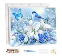 HEIBAGO Flower Paint by Numbers with Frame, Bird Paint by Numbers Kits for Adult, Landscape Paint by Numbers Canvas, DIY Oil Painting Arts and Crafts Kit Acrylic Pigment for Home Wall Decor 20x30cm