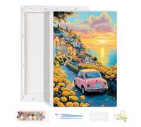 HEIBAGO Framed Paint by Numbers for Adults, Car Flower DIY Paint by Number on Canvas for Beginners, Adult Landscape Paint by Numbers Kits, Oil Paint by Numbers for Wall Decor，20x30cm