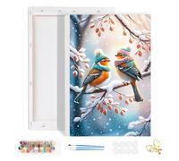 HEIBAGO Framed Paint by Numbers for Audlts Beginners, Birds Paint by Numbers Canvas, Audlt DIY Winter Oil Paint by Numbers Kits, Landscape Painting Art Craft for Home Decor 20x30cm
