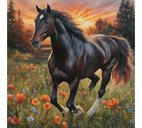 HEIBAGO Horse 5D DIY Diamond Art Painting Kits for Audlts, Full Drill Flower Diamond Painting for Beginners Rhinestone Embroidery Diamond Dots Set Landscape Gem Art Crafts for Home Decor 30x30cm