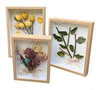 HEIBTENY 2-Pack Handmade 3D Hollow Photo Frames For Dried Flowers And Butterfly Specimens DIY Epoxy Shadow Box With Organic Glass Panel MDF Art Display Case For(B Log)