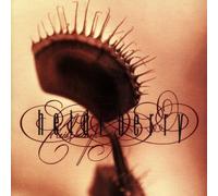 Heidi Berry By Heidi Berry (1993-07-08)