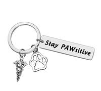 Heigebi Vet Tech Thank You Gift Veterinary Gifts Veterinarian Gifts Veterinarian Appreciation gift Veterinarian Keychain Vet Student Gift Veterinary Medicine Graduation Gift Vet Tech Jewelry