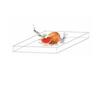 Height 5cm/1.97"Acrylic Shooting Tray, Display Showcase, Floating Photo Props, Clear Shallow Water Tank, Portable Food Cosmetic Storage Box (Color : Clear, Size : 60x60cm(23.6x23.6in))