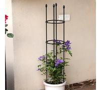 Height Adjustable Garden Trellis for Climbing Vines Plants & VegetablesSturdy Black Flower Stand 25x150cm for Cucumber & Garden Flowers