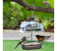 Height Adjustable Hanging Wild Bird Feeder Station Baffle Dome Peanut Seed Feed
