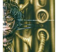 Heil Johannes - Future Primitive