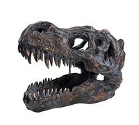 HEINBOW T-rex Skull Wall-mounted Dinosaur Head Trophy Faux Taxidermy Wall Statue Fossil Figurine Wall Decor Tyrannosaurus Rex Skull Sculpture 15.5''Long