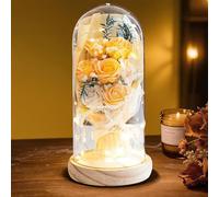 HEINexoria 7 Eternal Roses in Glass Dome with LED Lights - Luxury Artificial Flower Gift for Women, Wife, Mum, Valentine's Day, Anniversary, Birthday, Wedding, Home Decor, Real Wood Base